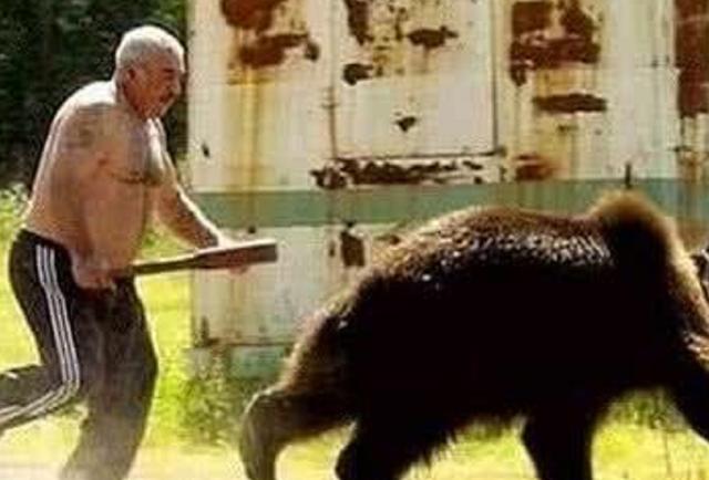史上最彪悍的男人：徒手杀棕熊，损失了身体上一个东西却至今不悔