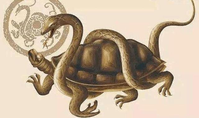 中国古人挖井为何要准备只乌龟，原来是技术落后，用这招可以保命