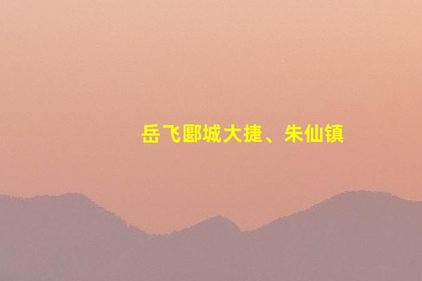 岳飞郾城大捷、朱仙镇大捷的背景及南宋各大将的表现